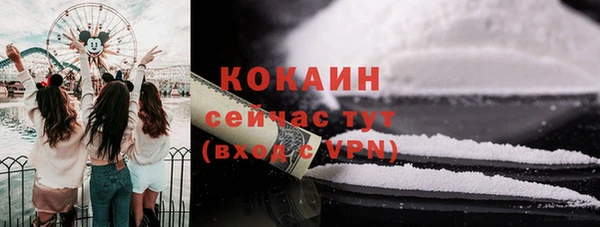 дмт Бородино