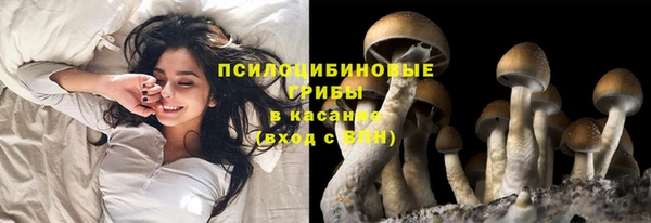 прущая мука Армянск