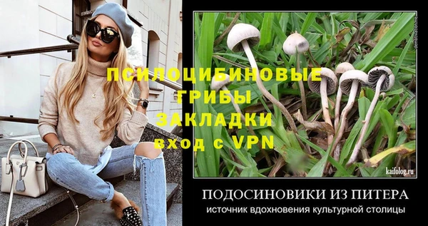 прущая мука Аркадак