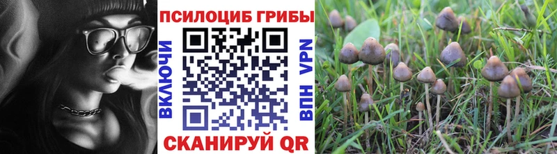 Псилоцибиновые грибы мухоморы  omg зеркало  Верхний Тагил 